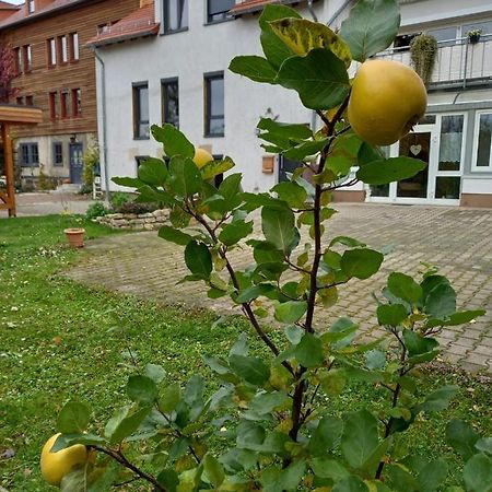 Ferienwohnung Antik 哥达 外观 照片